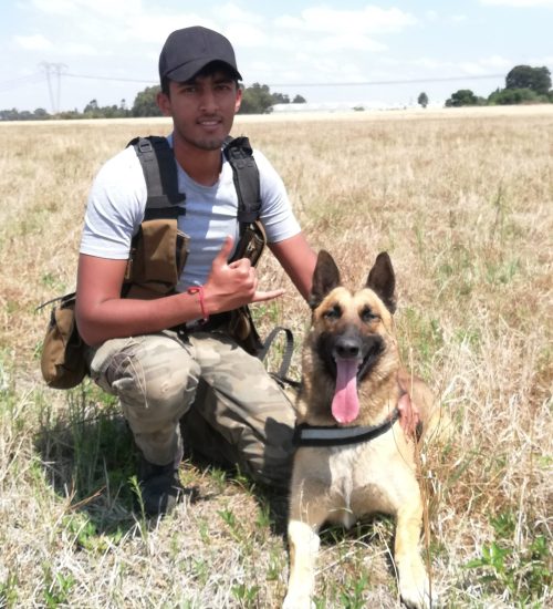 DERTOUR Foundation Projekt Wildereihunde mit Herrchen